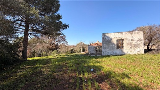 Corpo Di Trulli Con Fabbricati